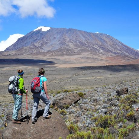 Kilimanjaro Hiking Adventure (13)