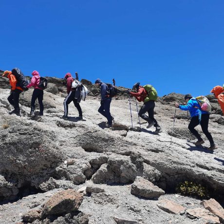Kilimanjaro Hiking Adventure (17)