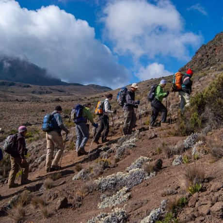 Kilimanjaro Hiking Adventure (5)