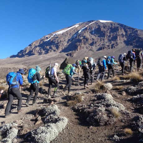 Kilimanjaro Hiking Adventure (6)