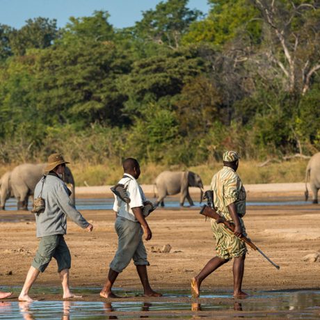 interest-walking-safaris